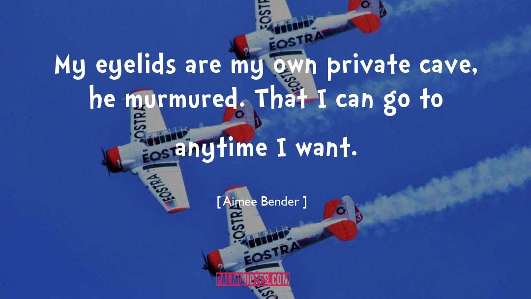 Bender Mp3 quotes by Aimee Bender