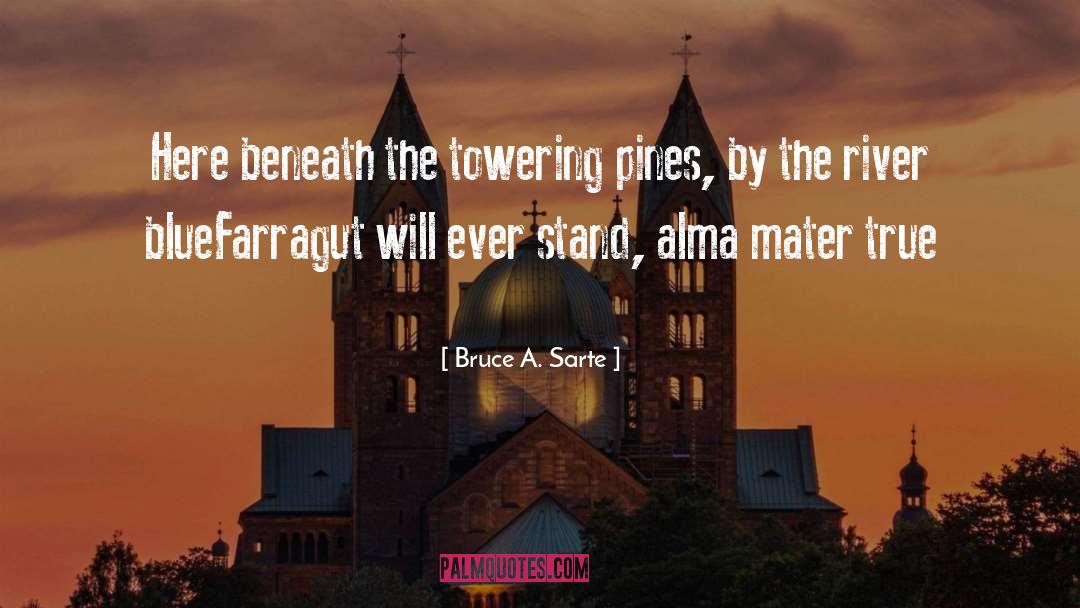 Beneath quotes by Bruce A. Sarte