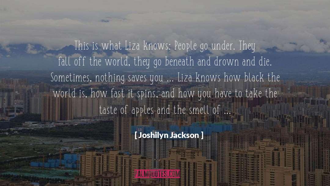 Beneath quotes by Joshilyn Jackson