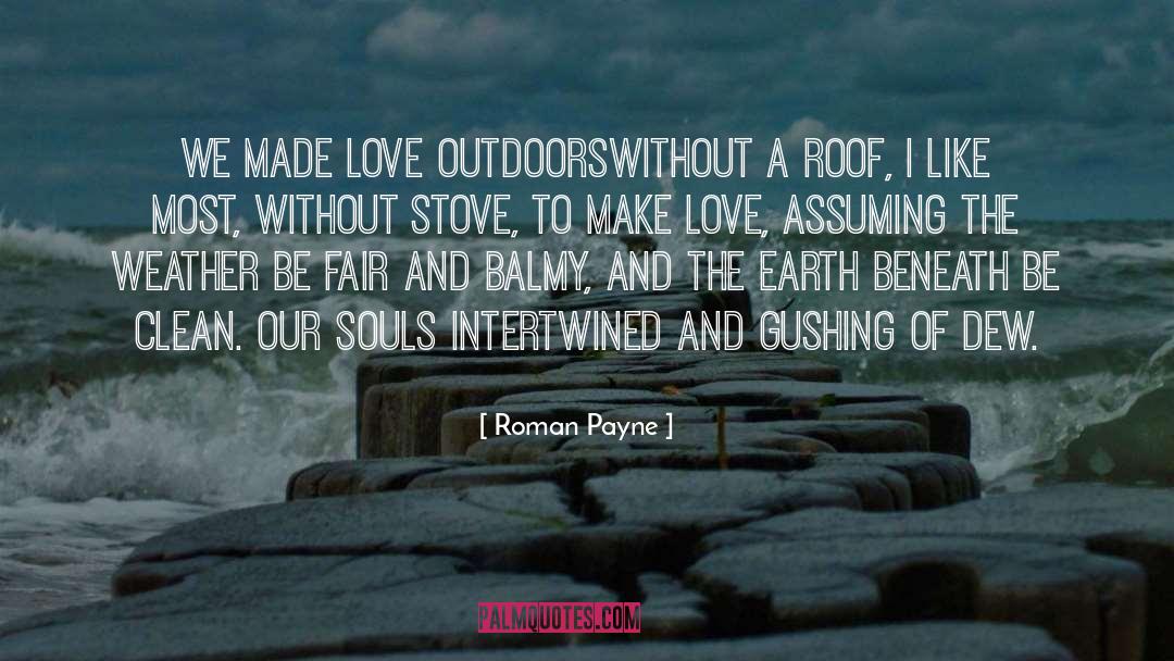 Beneath quotes by Roman Payne