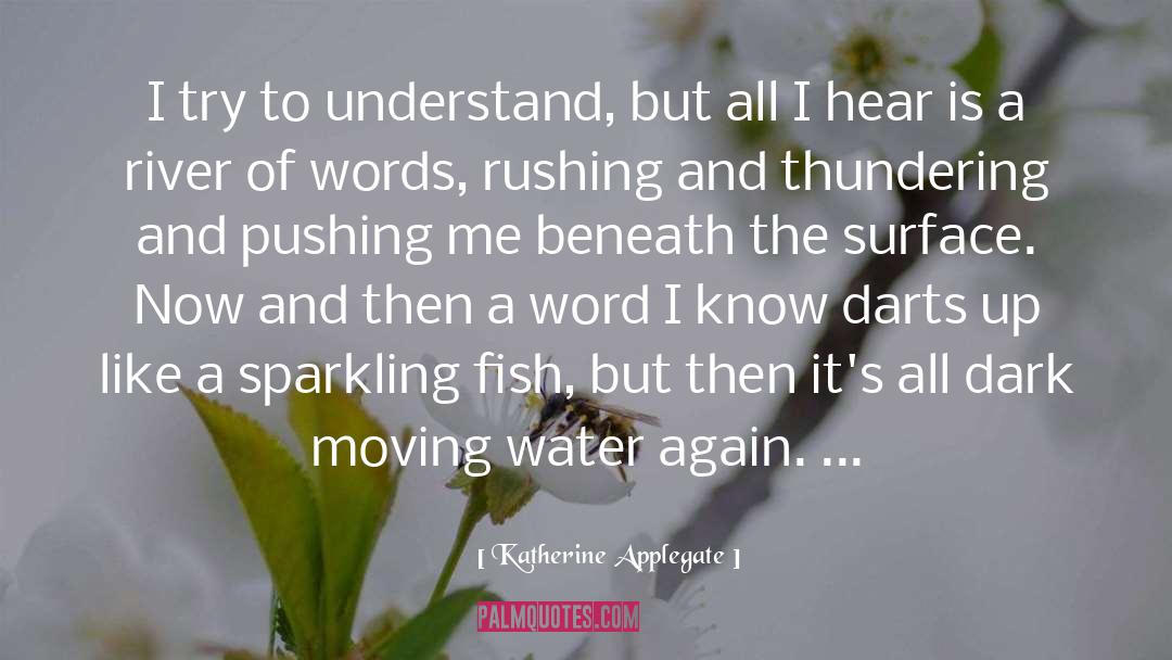 Beneath The Surface quotes by Katherine Applegate