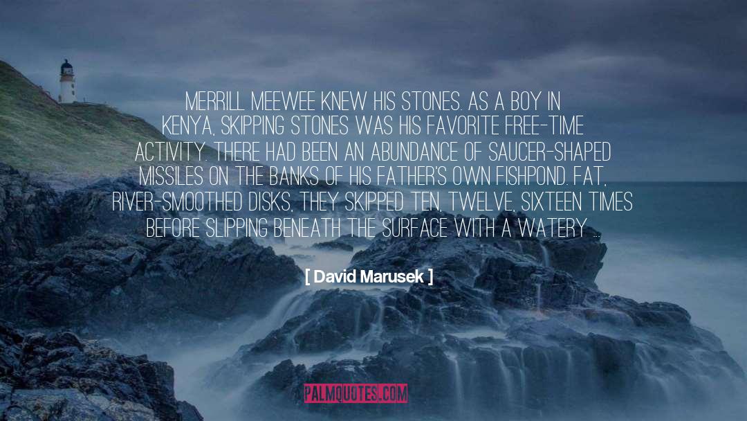 Beneath The Surface quotes by David Marusek