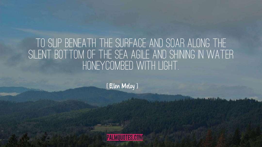 Beneath The Surface quotes by Ellen Meloy