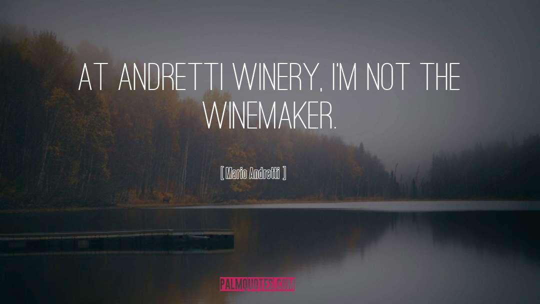 Beneduce Winery quotes by Mario Andretti