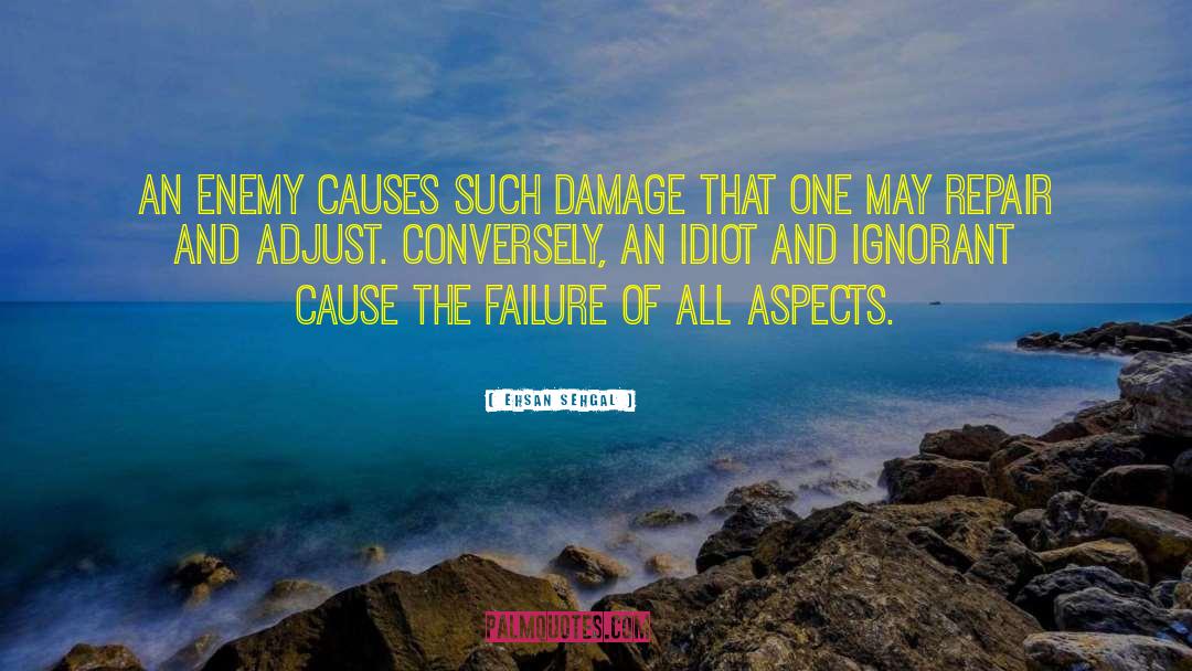 Benefit Of Failure quotes by Ehsan Sehgal