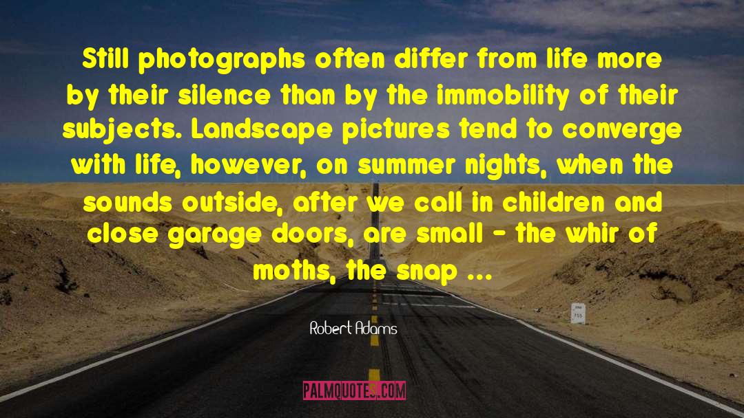 Benefits Of Silence quotes by Robert Adams