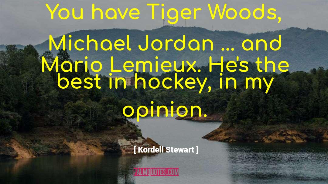 Bengal Tiger quotes by Kordell Stewart