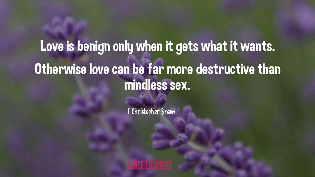 Benign quotes by Christopher Bram