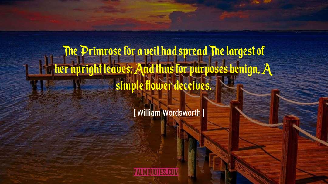 Benign quotes by William Wordsworth