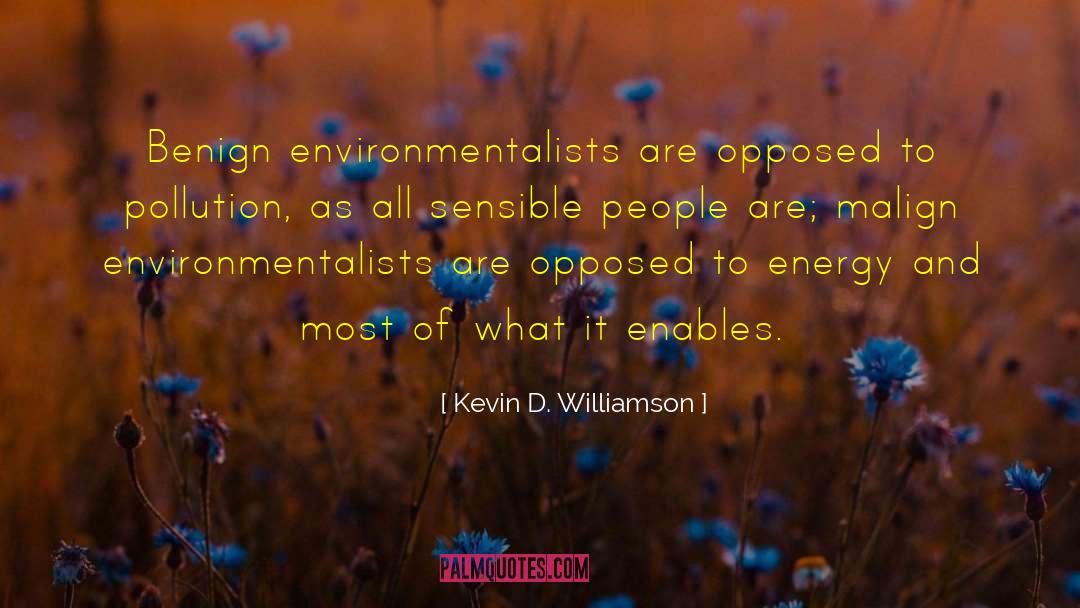 Benign quotes by Kevin D. Williamson