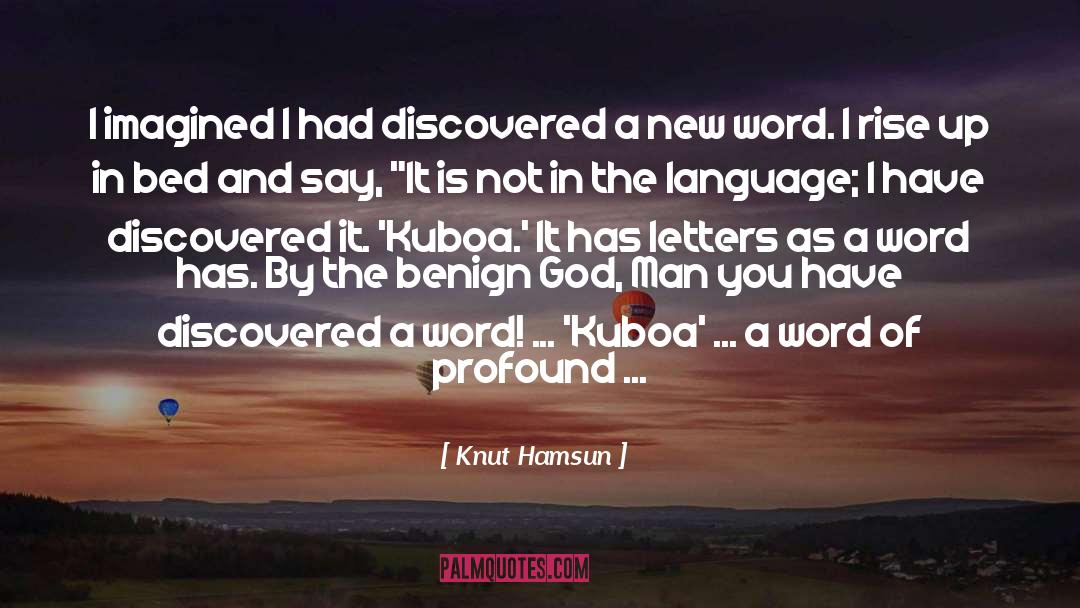 Benign quotes by Knut Hamsun