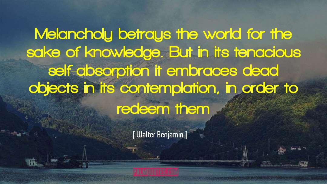 Benjamin Zander quotes by Walter Benjamin