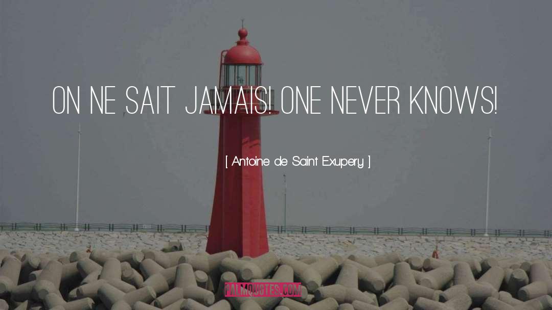 Benlik Ne quotes by Antoine De Saint Exupery