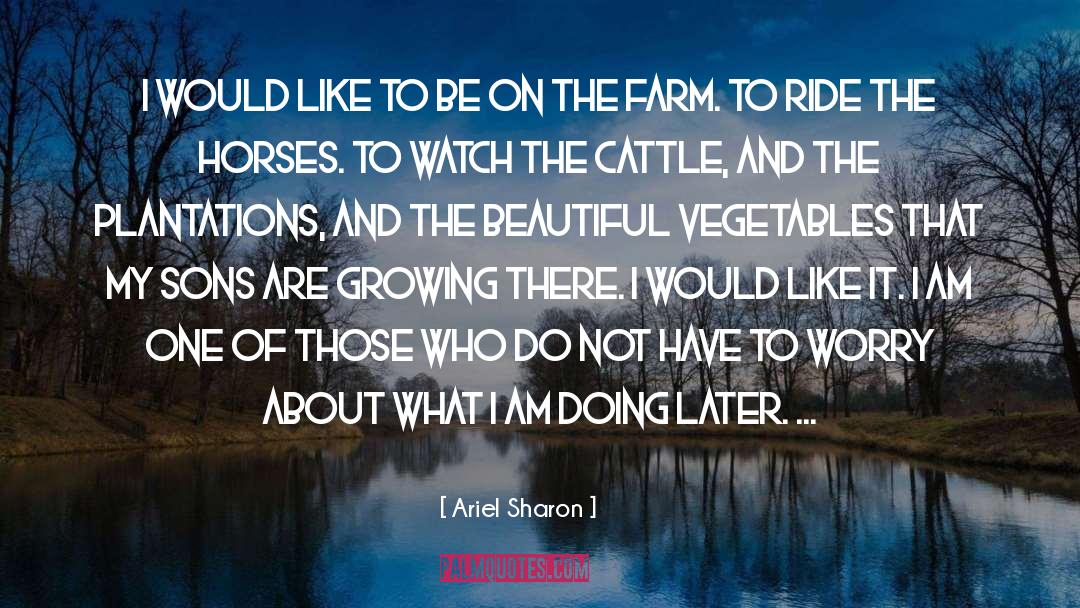 Benoist Farms quotes by Ariel Sharon