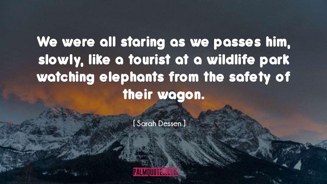 Benzor Safety quotes by Sarah Dessen