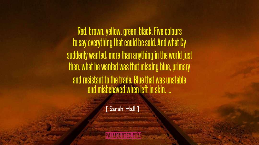 Bereaved quotes by Sarah Hall