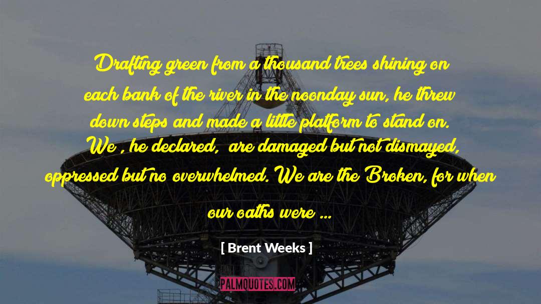 Bereaved quotes by Brent Weeks