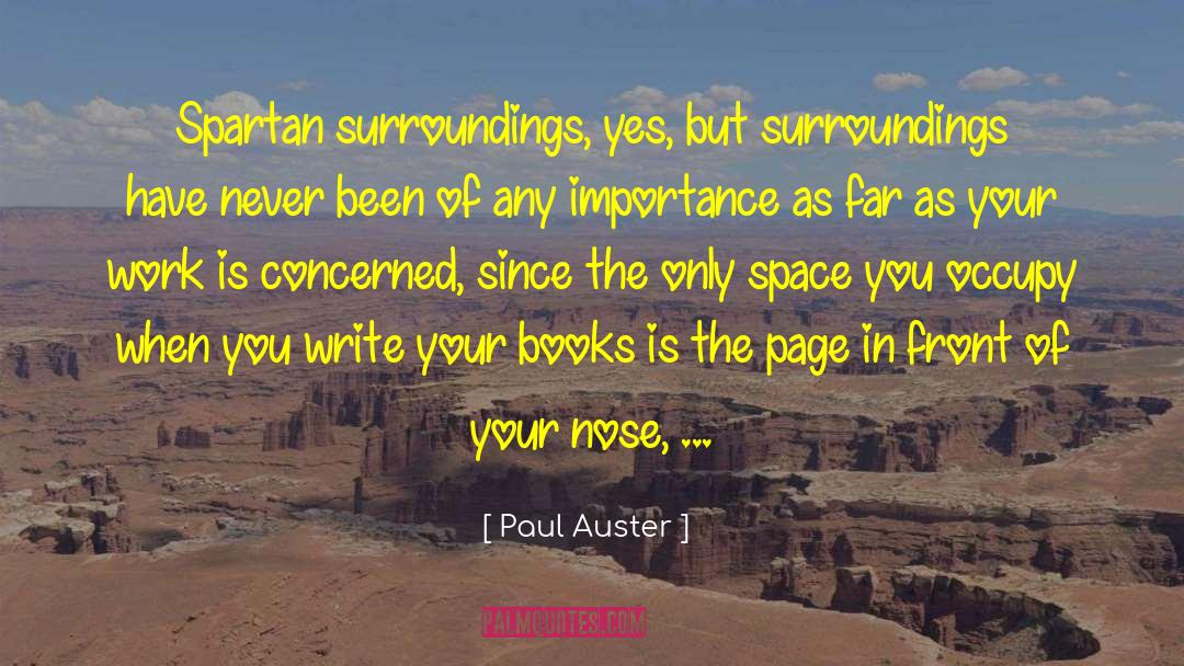 Berenstain Books quotes by Paul Auster