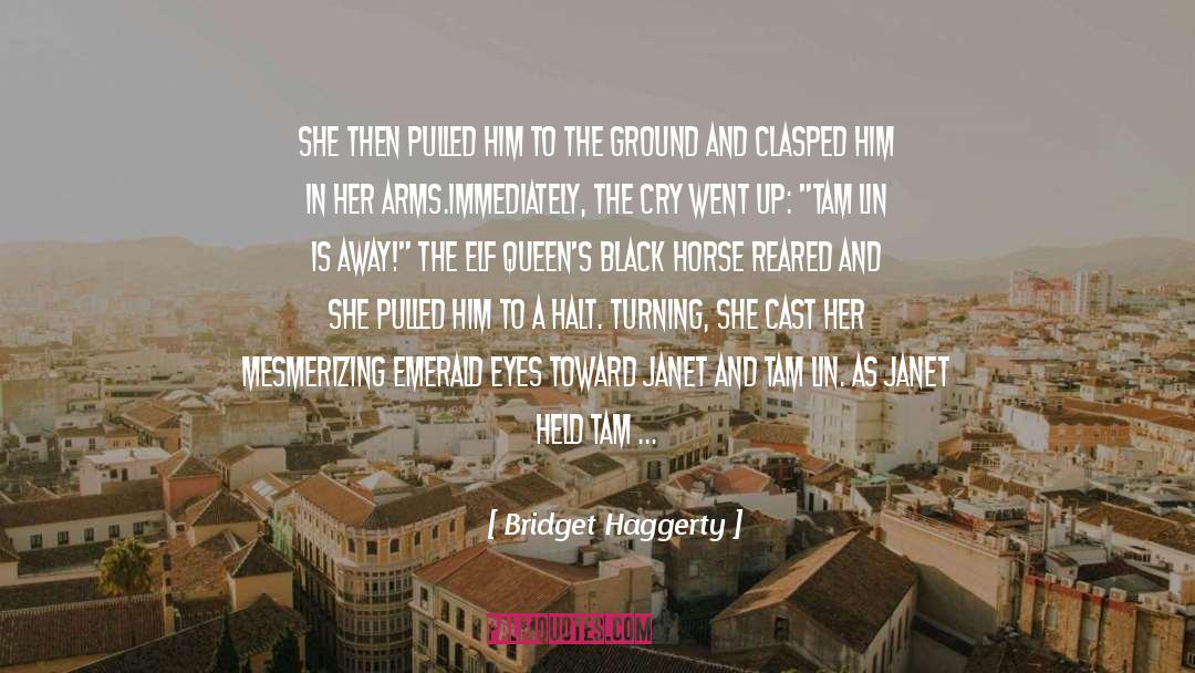 Bereznay Tam S quotes by Bridget Haggerty