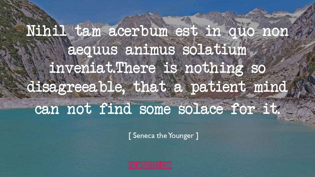 Bereznay Tam S quotes by Seneca The Younger