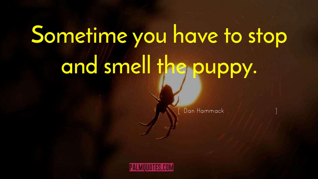 Bergamasco Puppy quotes by Dan Hammack