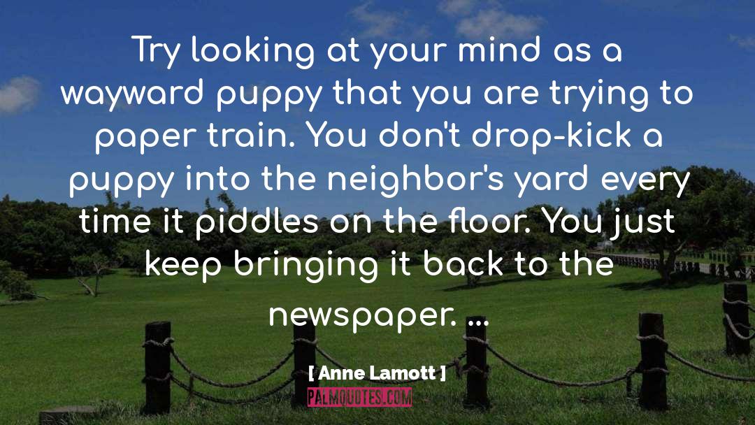 Bergamasco Puppy quotes by Anne Lamott