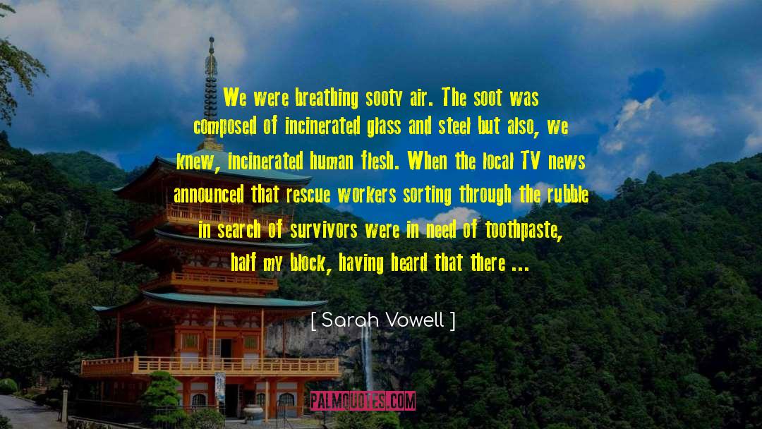 Bergemann Soot quotes by Sarah Vowell