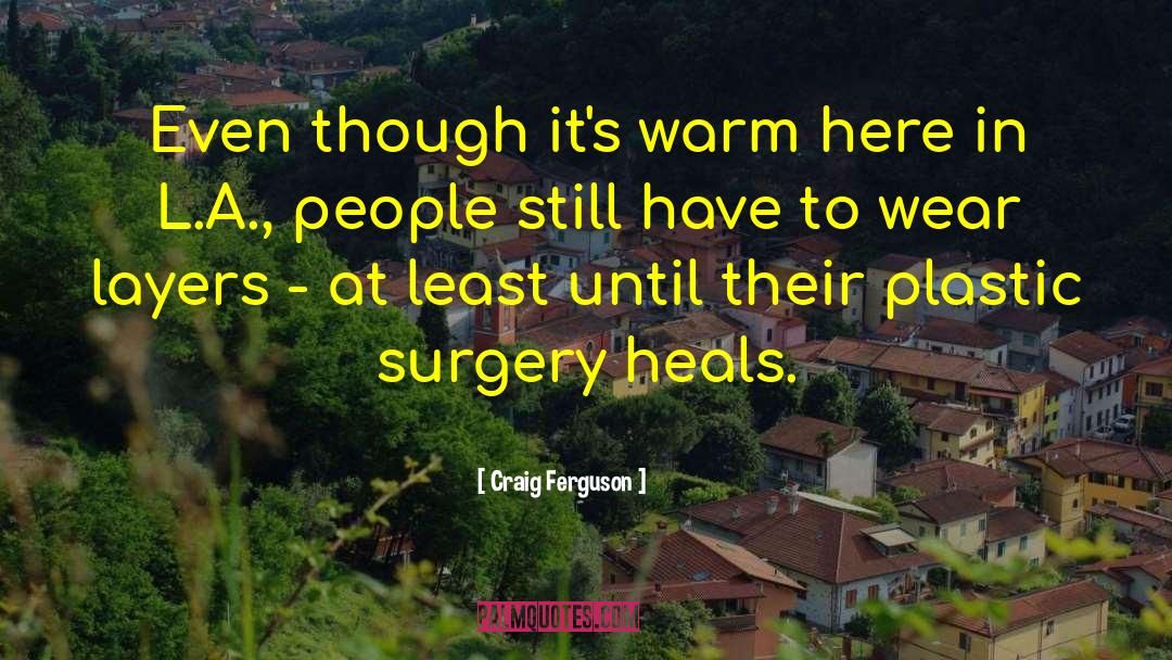Bergsten Plastic Surgery quotes by Craig Ferguson