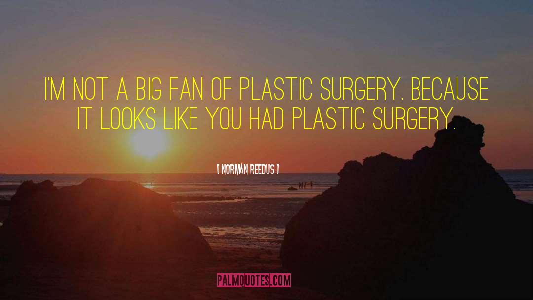 Bergsten Plastic Surgery quotes by Norman Reedus