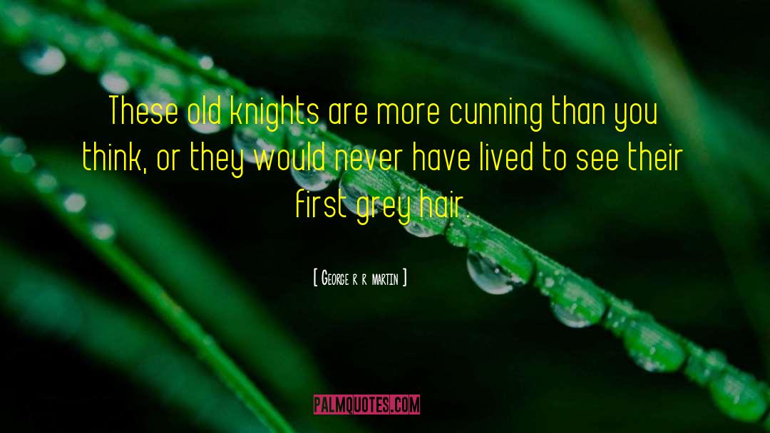 Beringer Knights quotes by George R R Martin