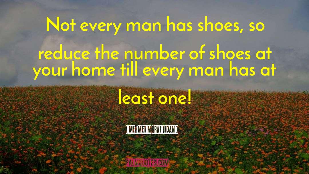 Berkemann Shoes quotes by Mehmet Murat Ildan