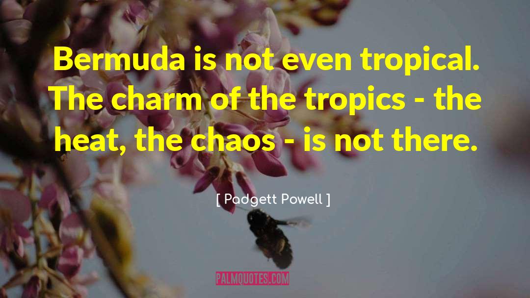 Bermuda quotes by Padgett Powell