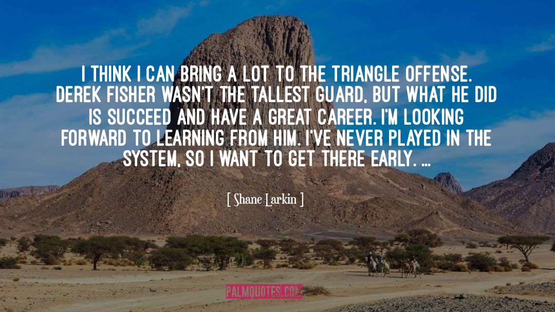 Bermuda Triangle quotes by Shane Larkin