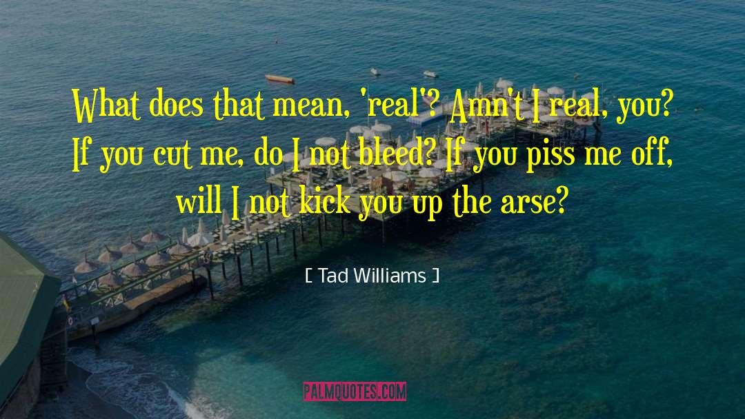 Bernard Williams quotes by Tad Williams