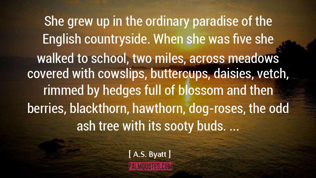 Berries quotes by A.S. Byatt