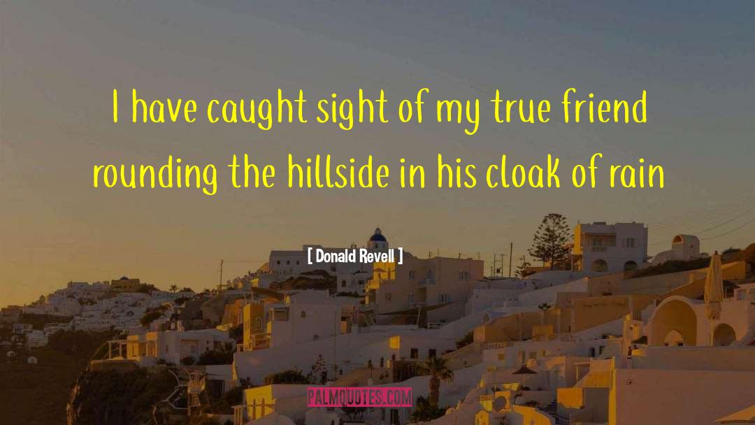 Bertacchi Hillside quotes by Donald Revell