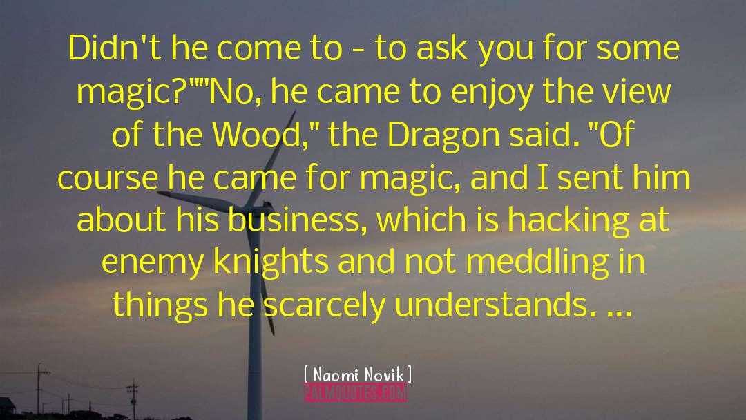 Bertello Wood quotes by Naomi Novik