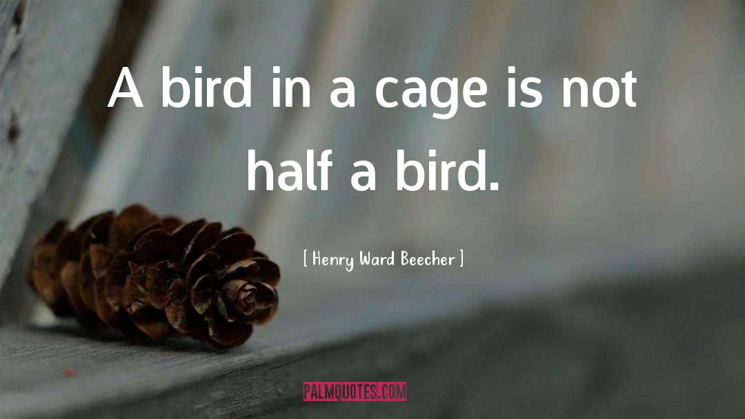 Bertoia Bird quotes by Henry Ward Beecher