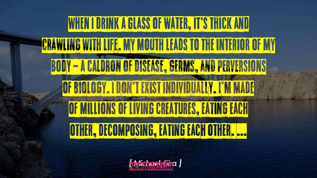 Berzelius Glass quotes by Michael Gira