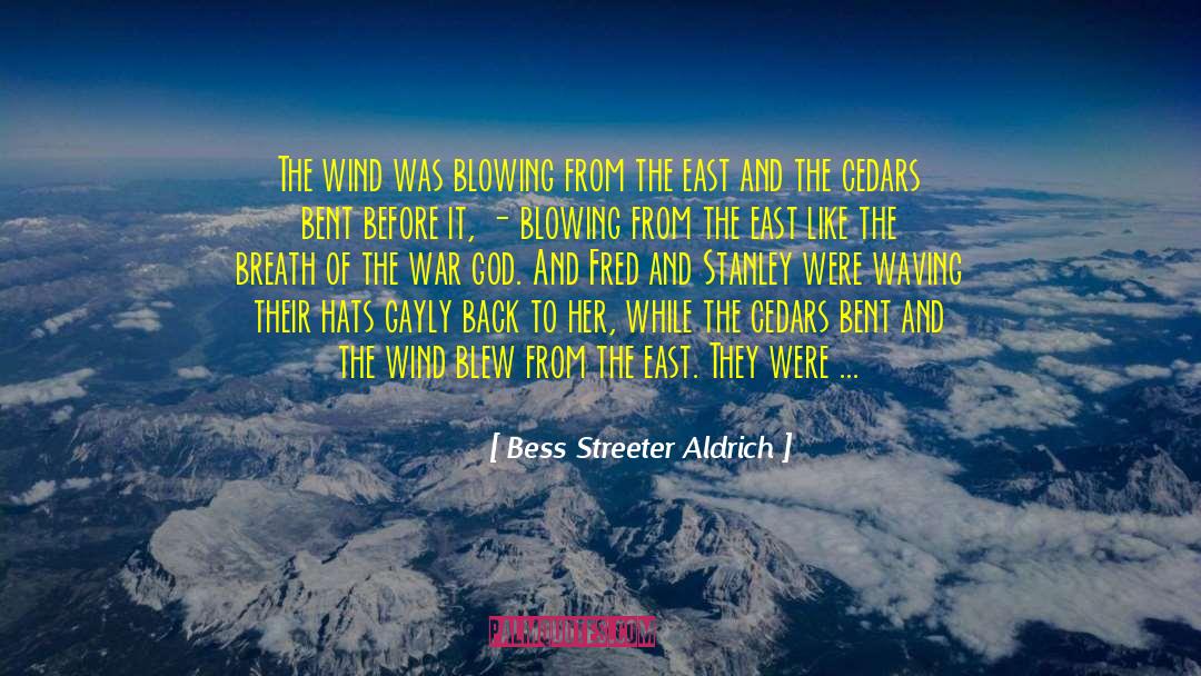 Bess quotes by Bess Streeter Aldrich