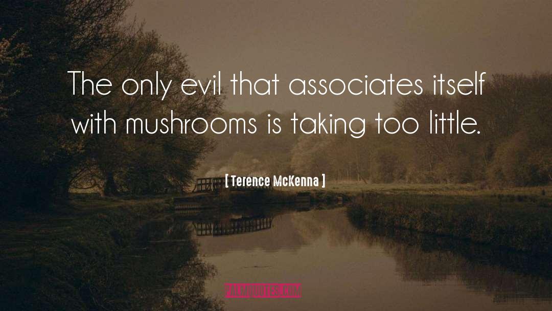 Besselman Associates quotes by Terence McKenna