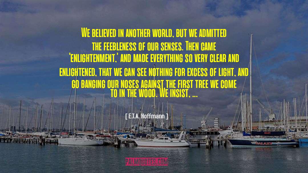 Besses On Clear Lake quotes by E.T.A. Hoffmann