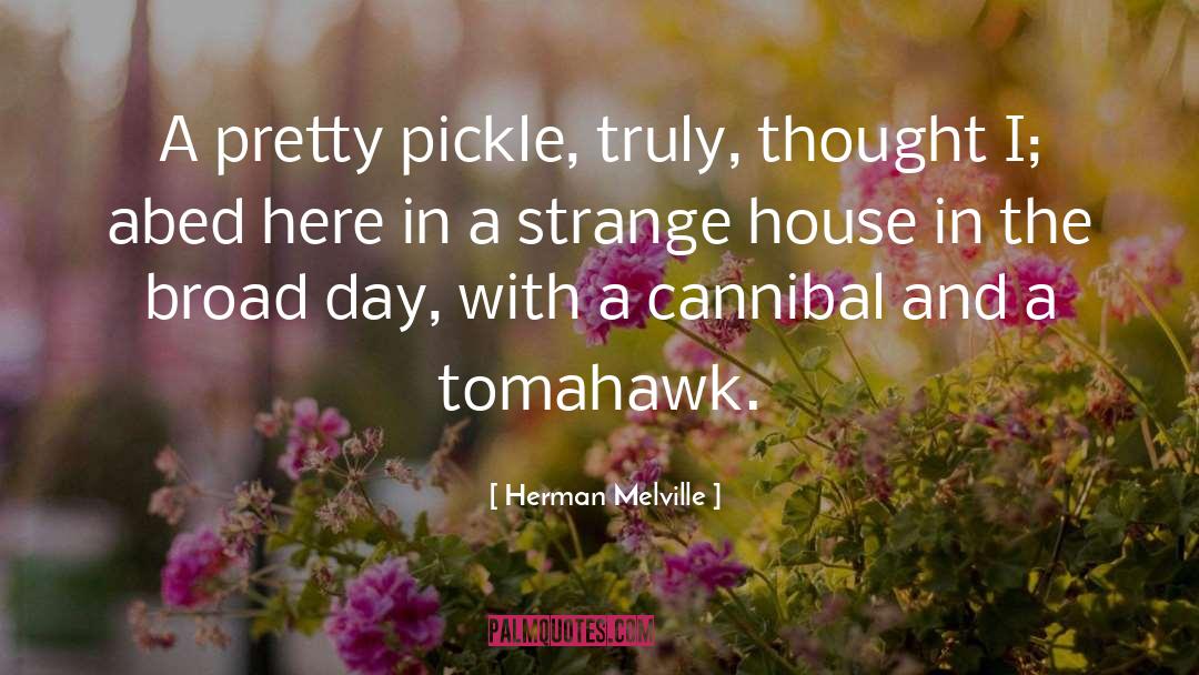 Besses Tomahawk quotes by Herman Melville