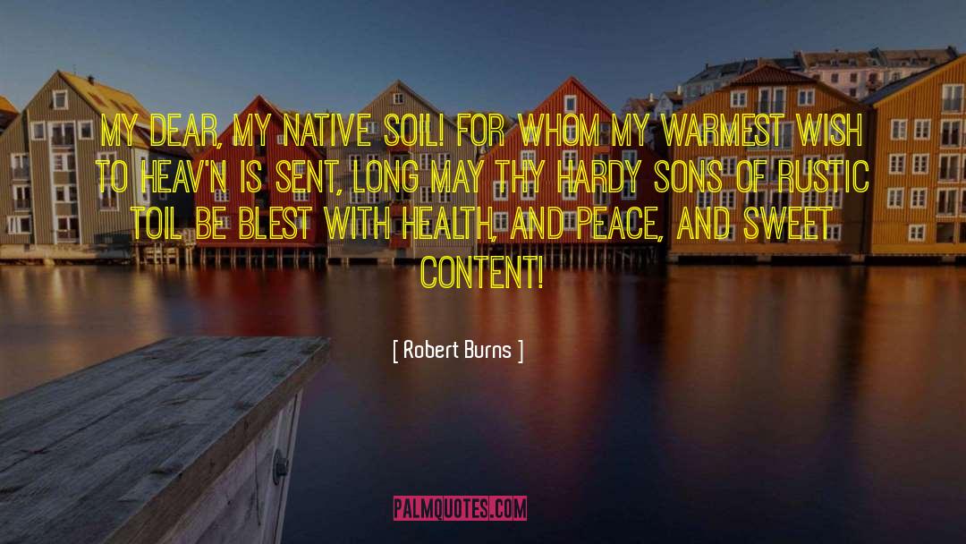 Bessie Native Son quotes by Robert Burns