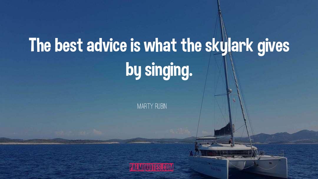 Best Advice quotes by Marty Rubin