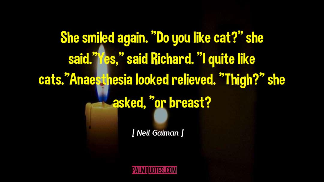 Best Anaesthesia quotes by Neil Gaiman