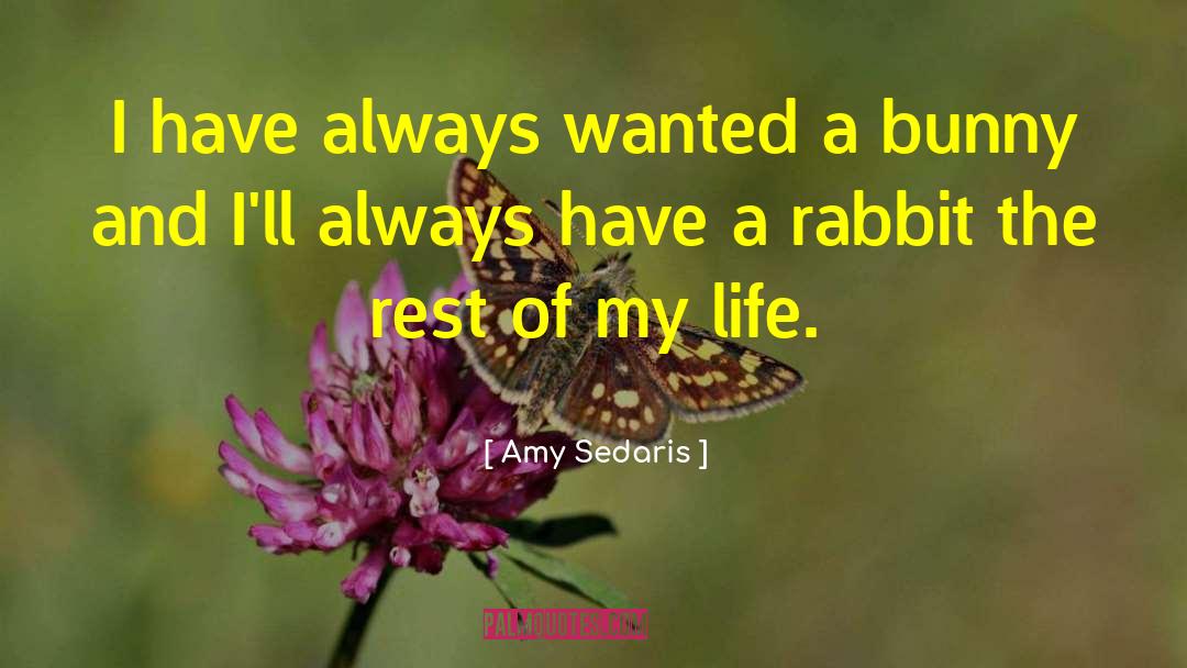 Best Bad Bunny quotes by Amy Sedaris
