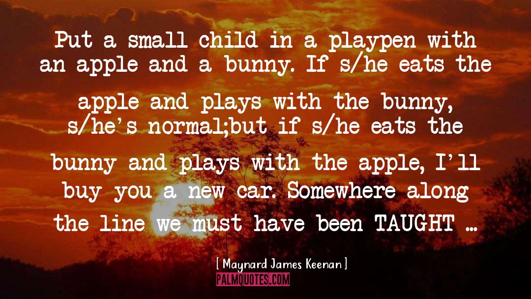 Best Bad Bunny quotes by Maynard James Keenan