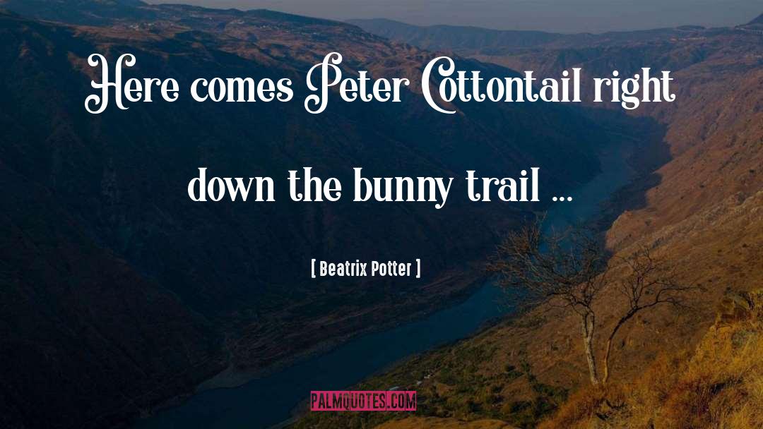 Best Bad Bunny quotes by Beatrix Potter