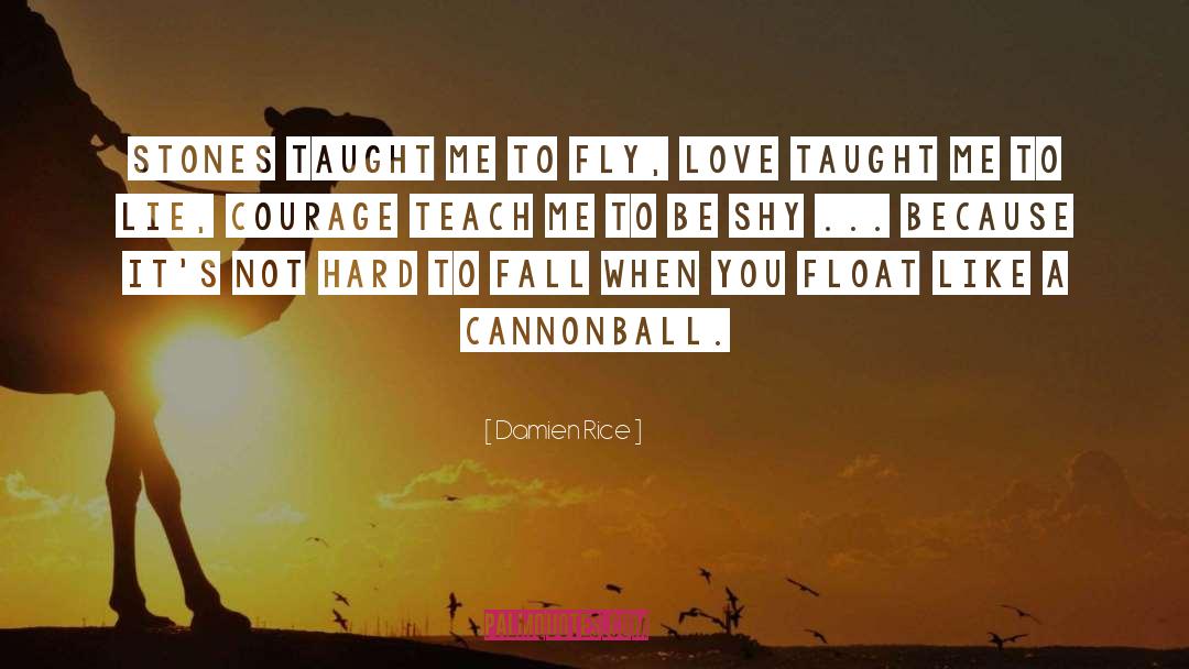 Best Boyfriend quotes by Damien Rice